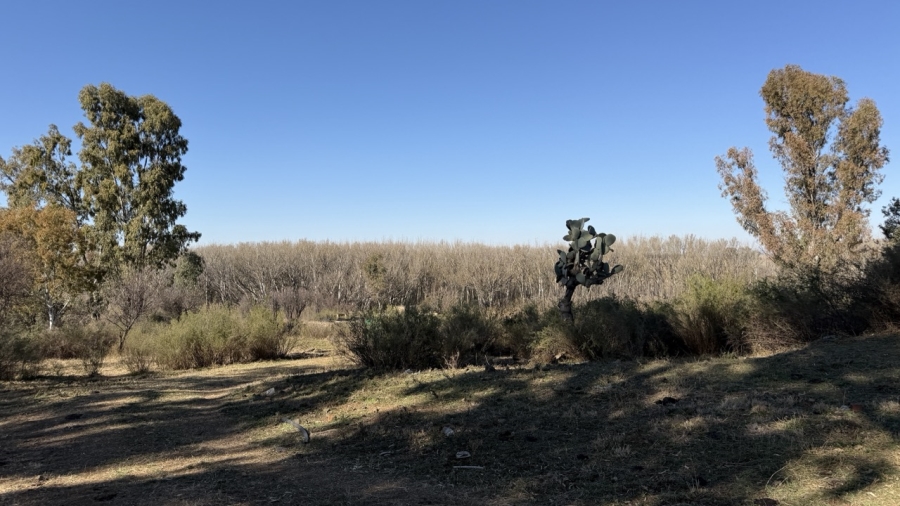 Commercial Property for Sale in Senekal Free State